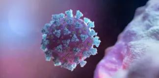 Is Kawasaki disease more dangerous than COVID-19? Kawasaki disease